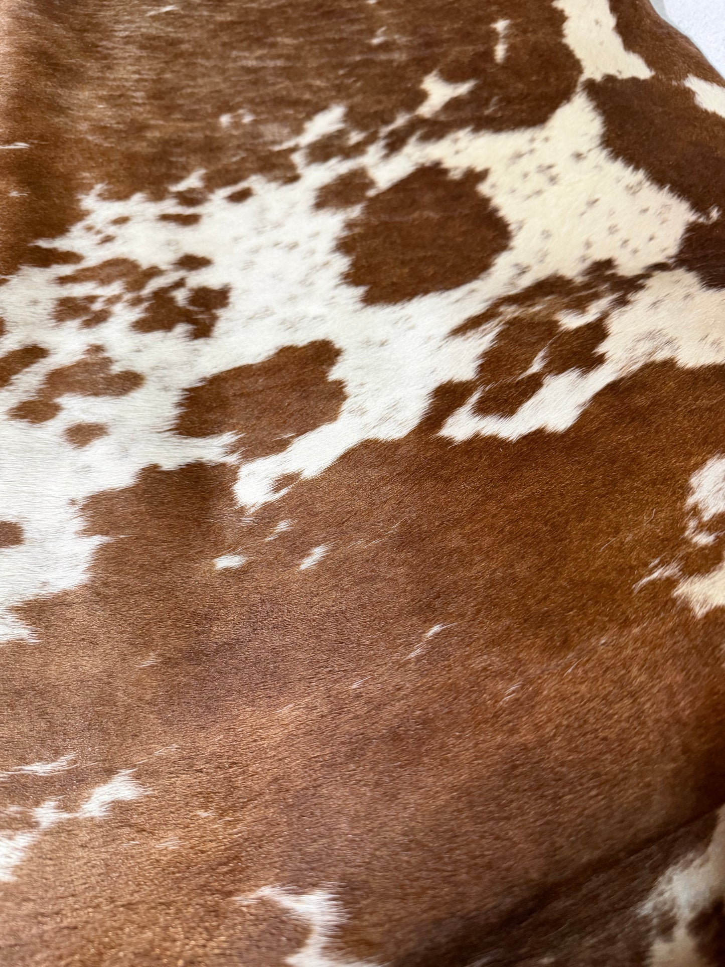Hide #006 Brown Speckled Cowhide Rental