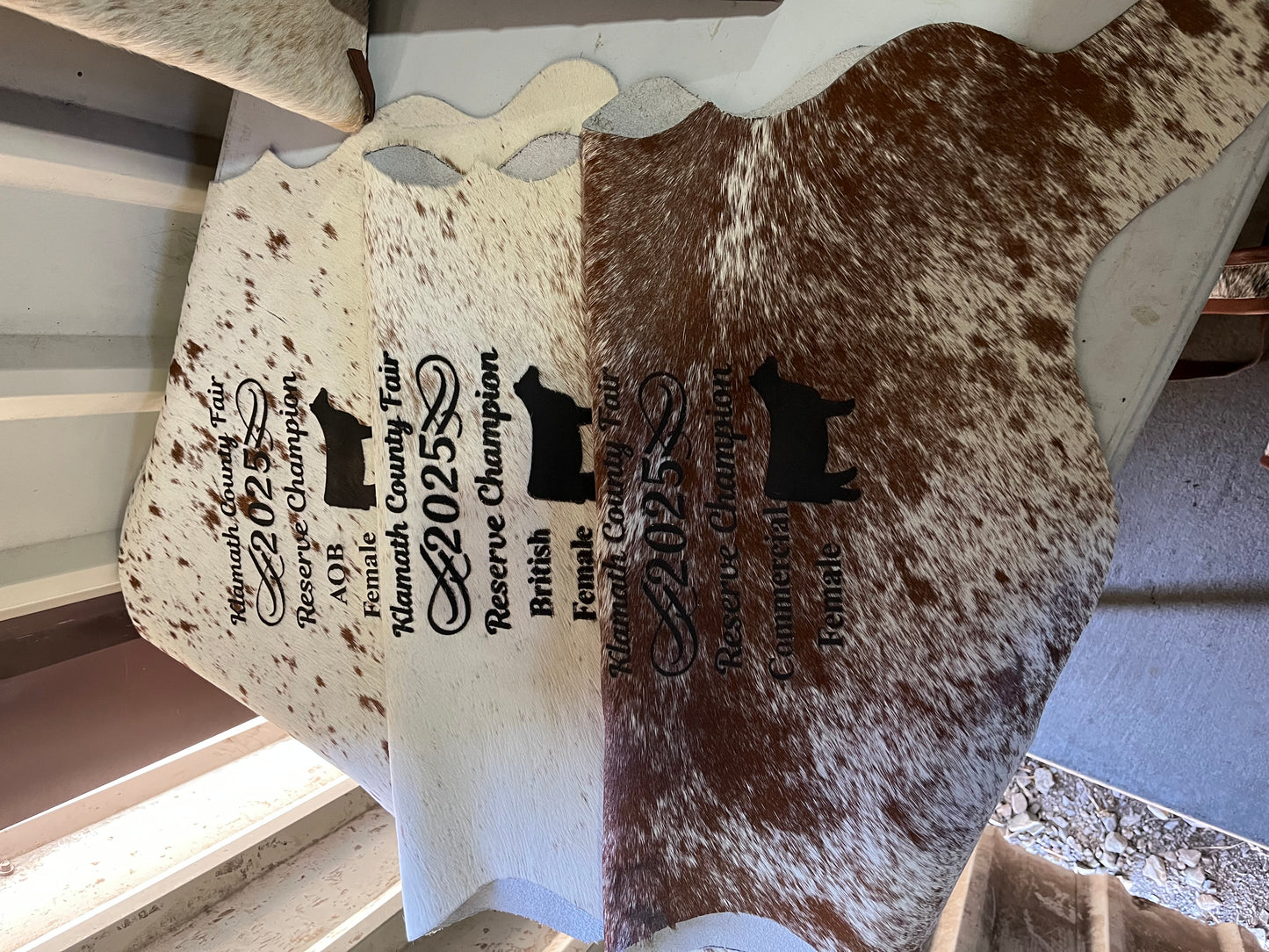 Engraved Mini Cowhide Banners