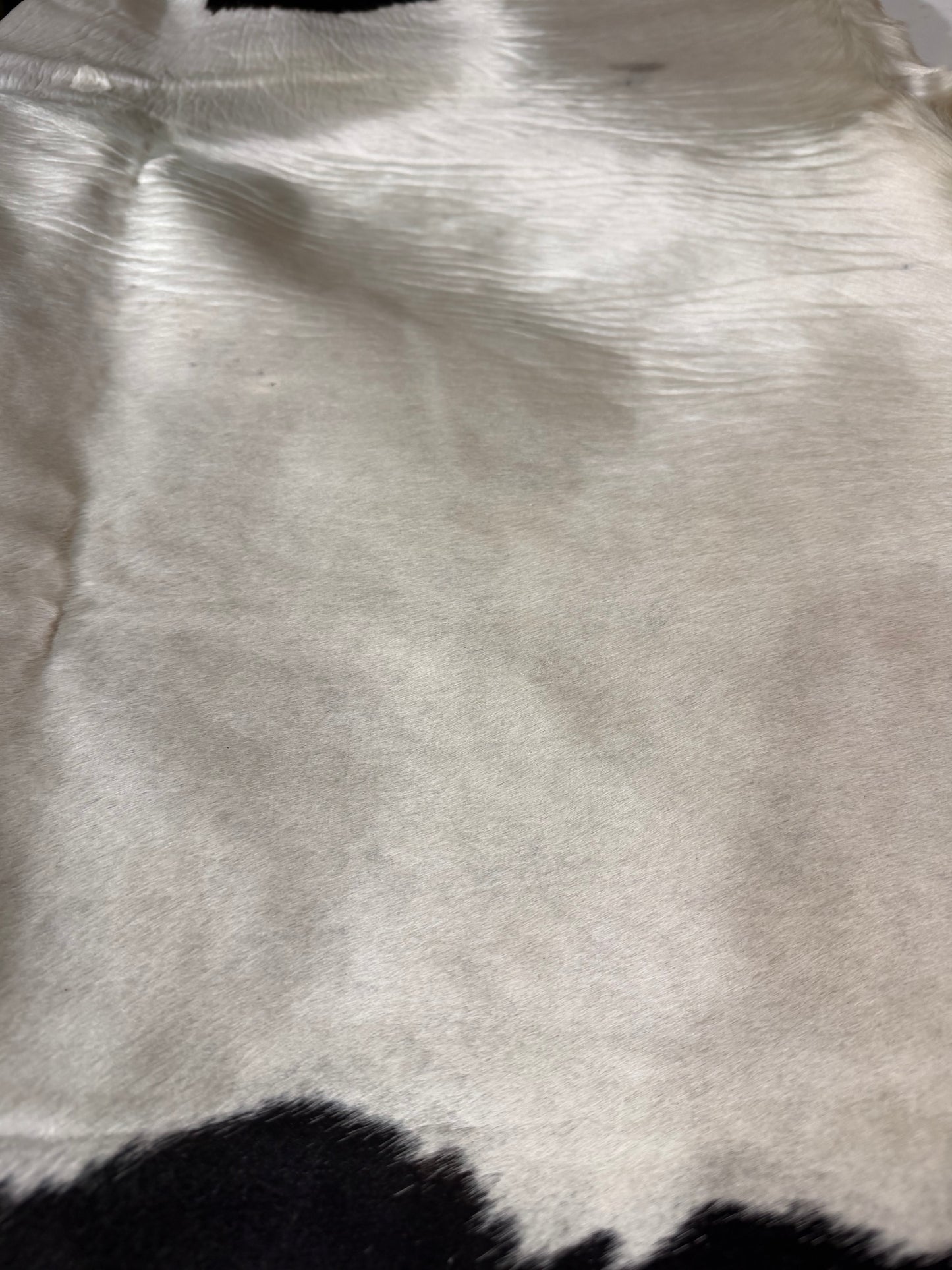 Hide #005 Black & White Cowhide Rental