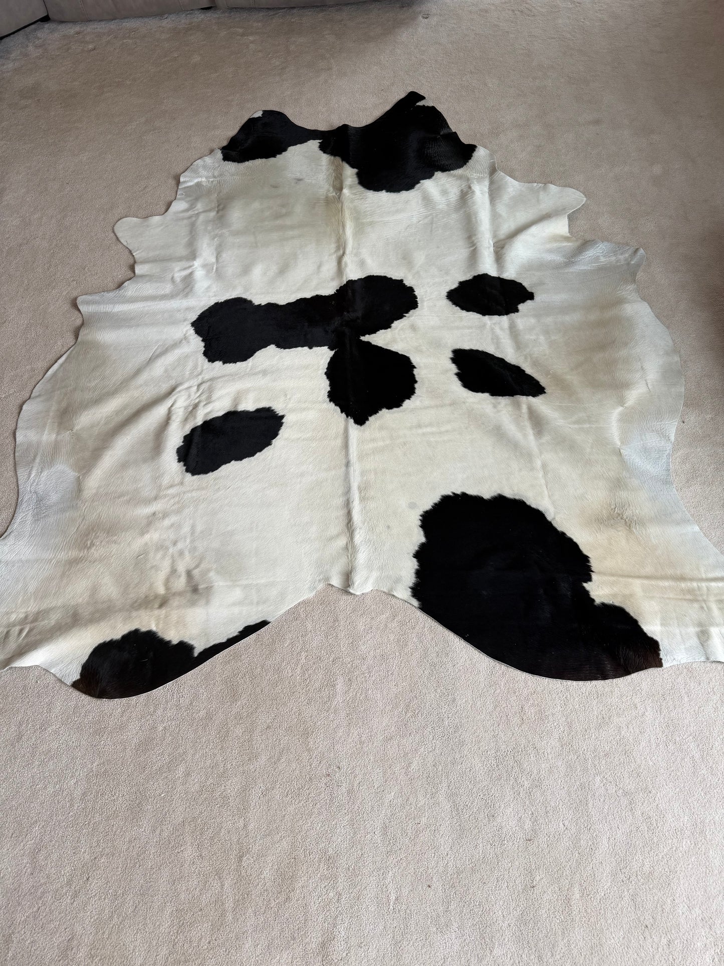 Hide #005 Black & White Cowhide Rental