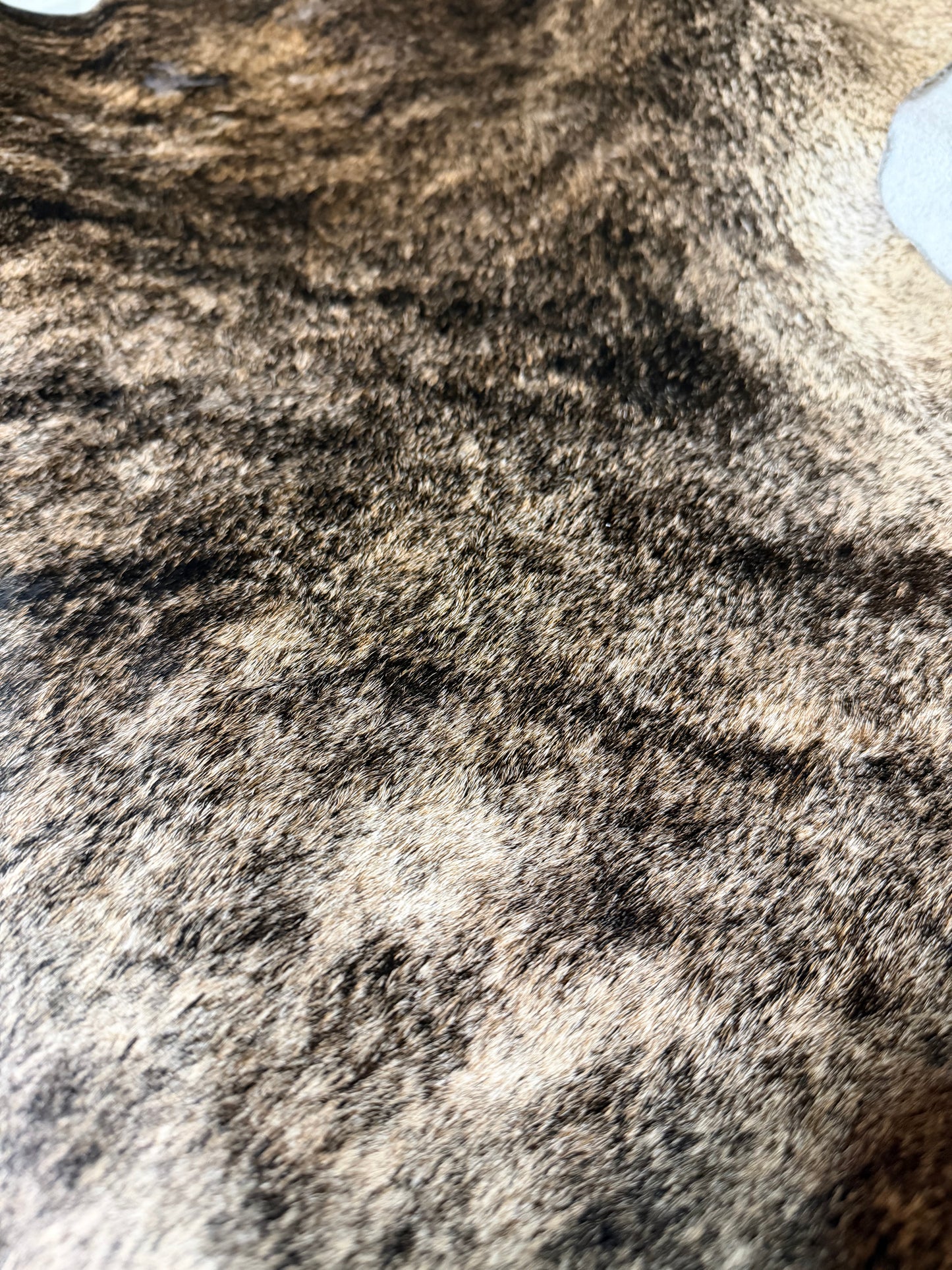 Hide #008 Tan Brindle Cowhide Rental