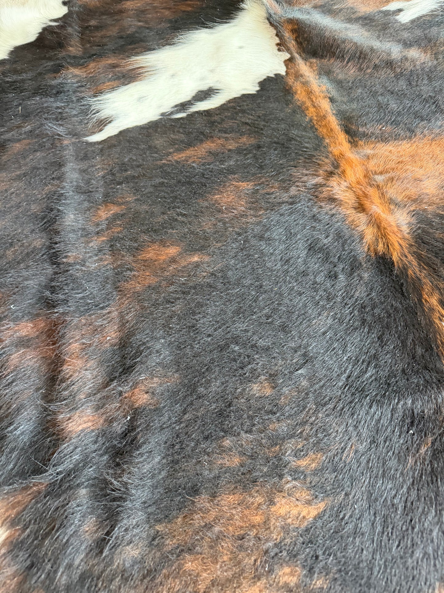 Hide #010 Tri-Brindle Cowhide Rental
