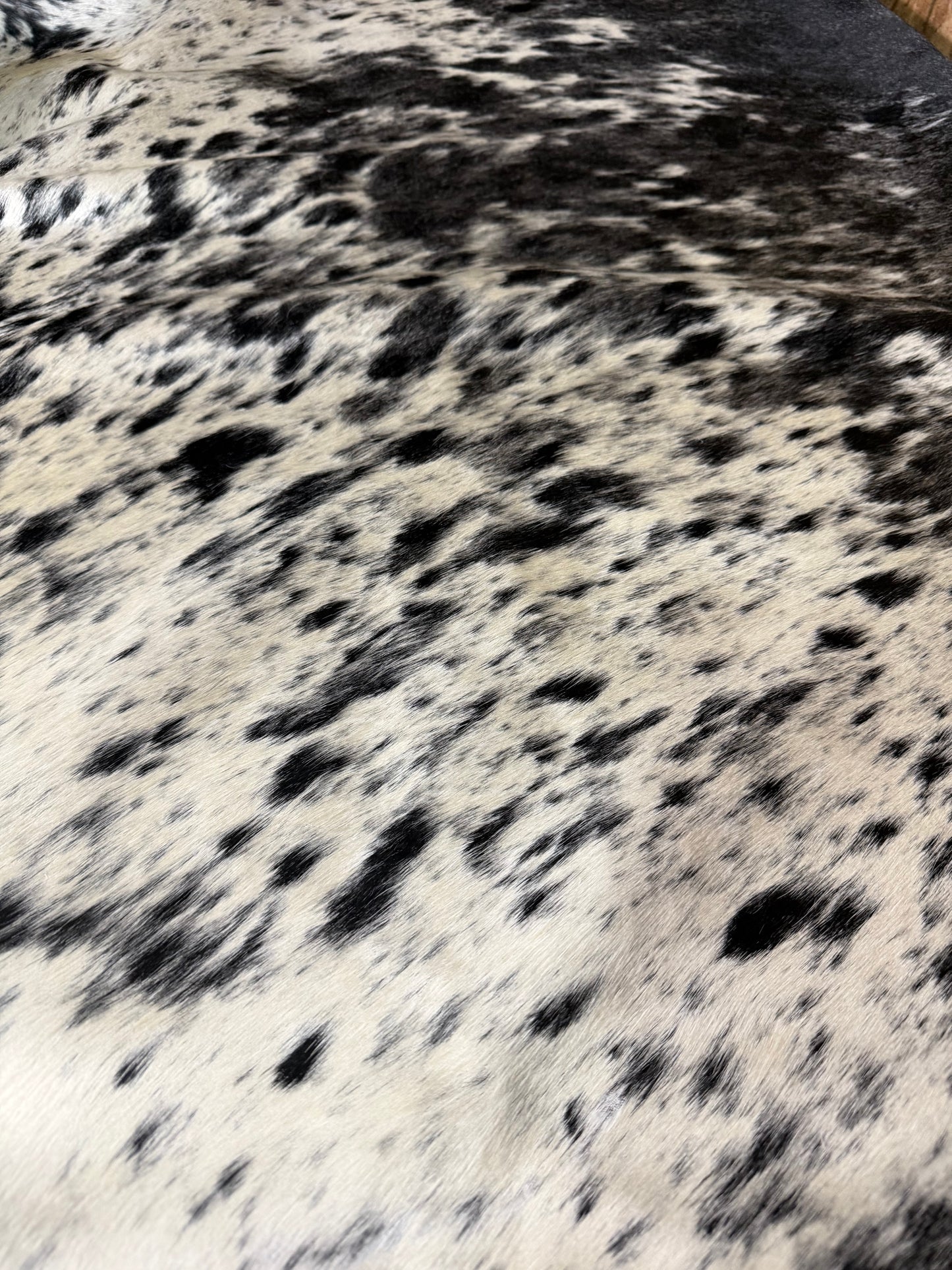 Hide #002 Blue Roan Cowhide Rental
