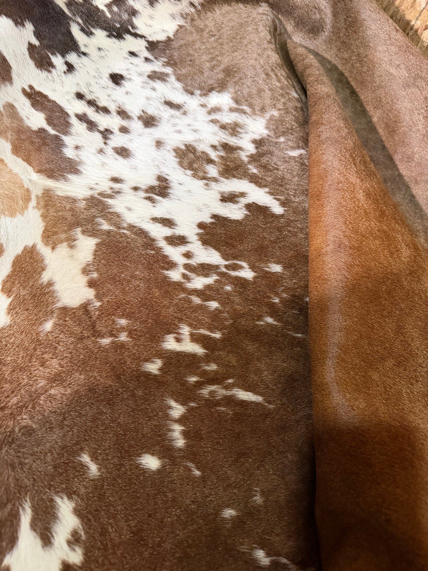 Hide #006 Brown Speckled Cowhide Rental
