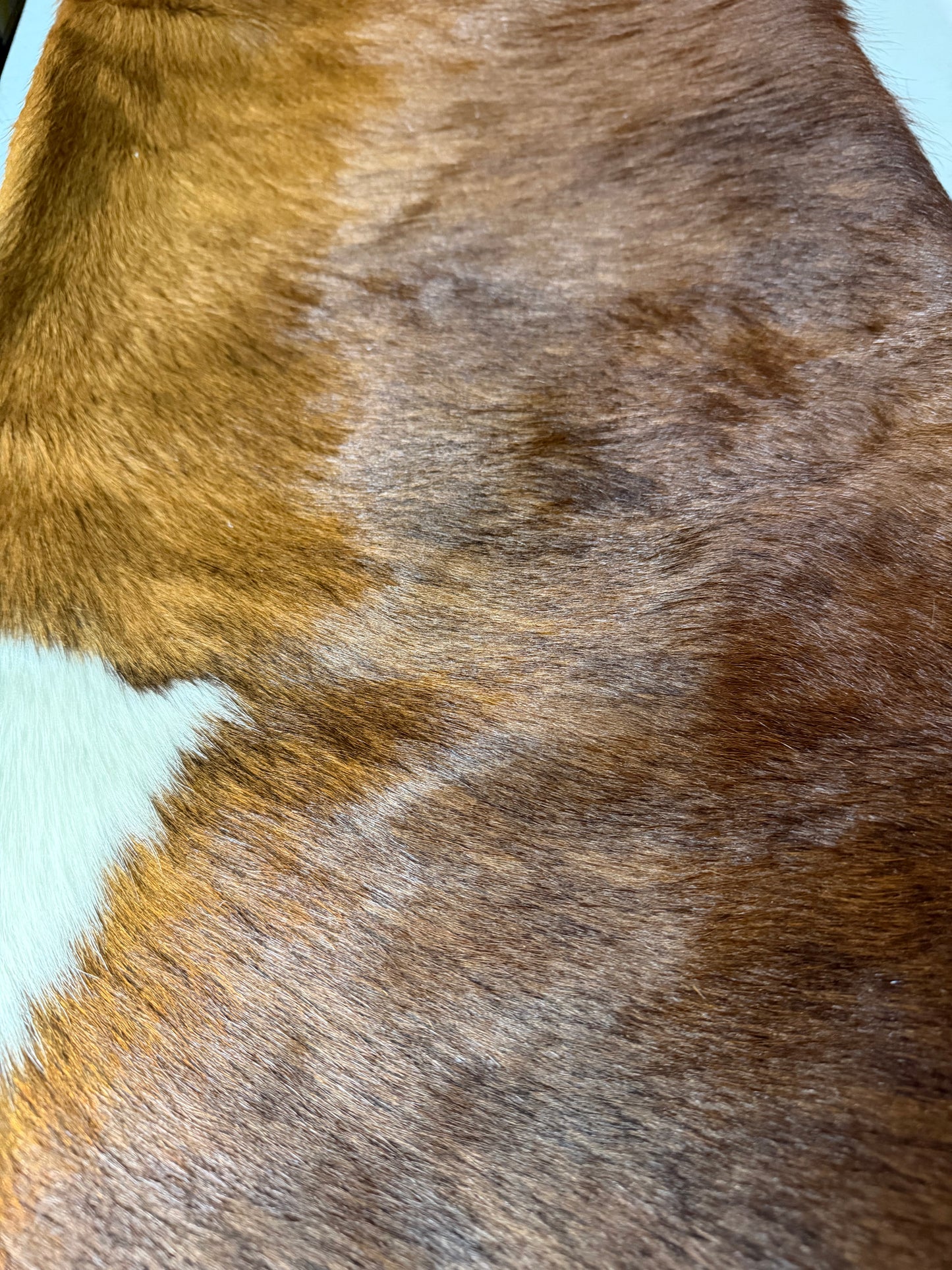 Hide #001 Red Tri-Colored Cowhide Rental
