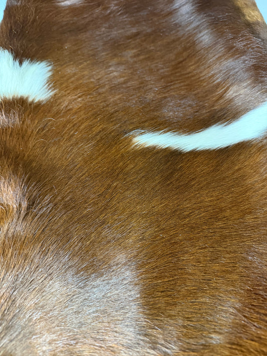 Hide #001 Red Tri-Colored Cowhide Rental