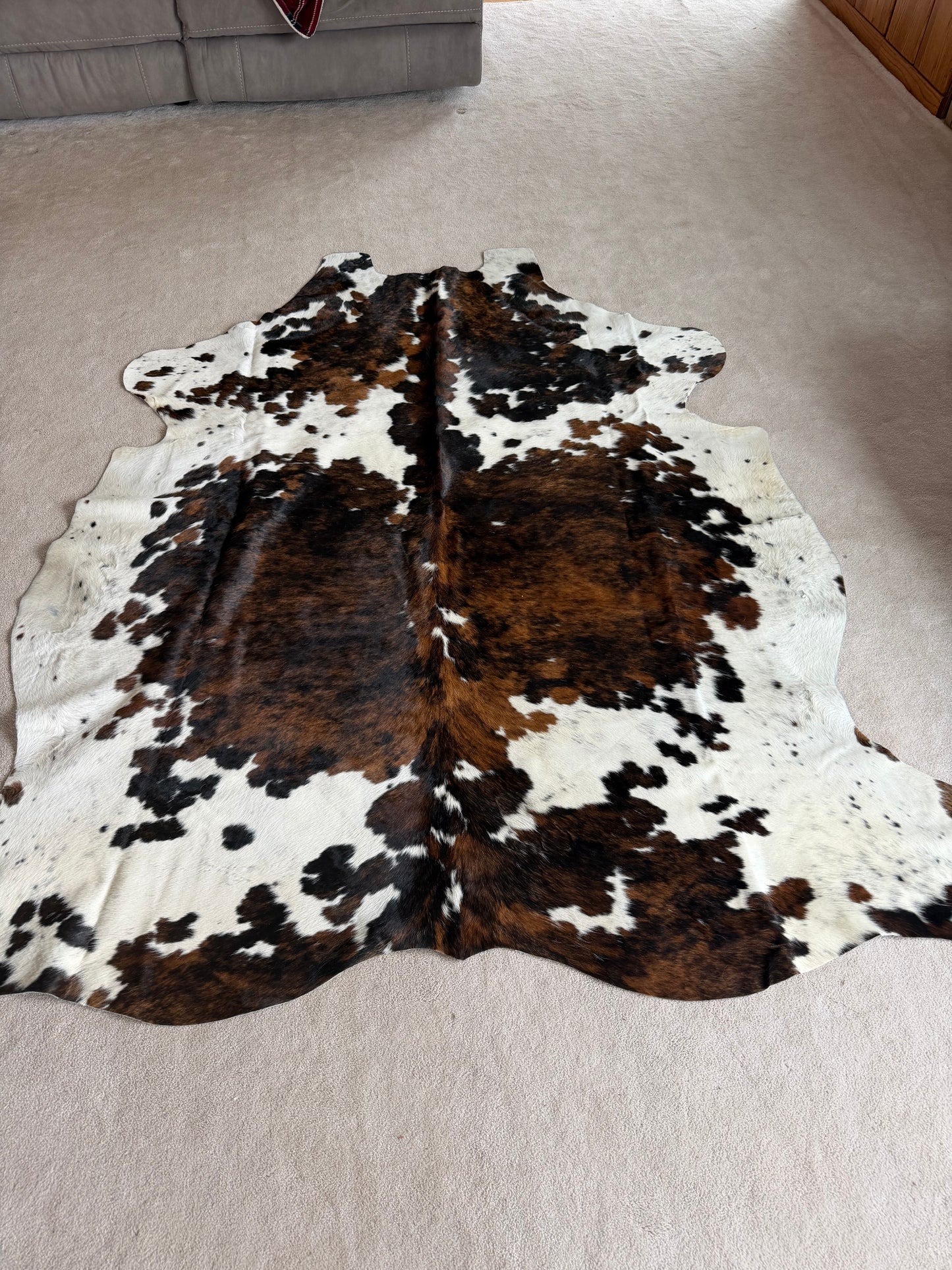Hide #004 Tri-Brindle Cowhide Rental