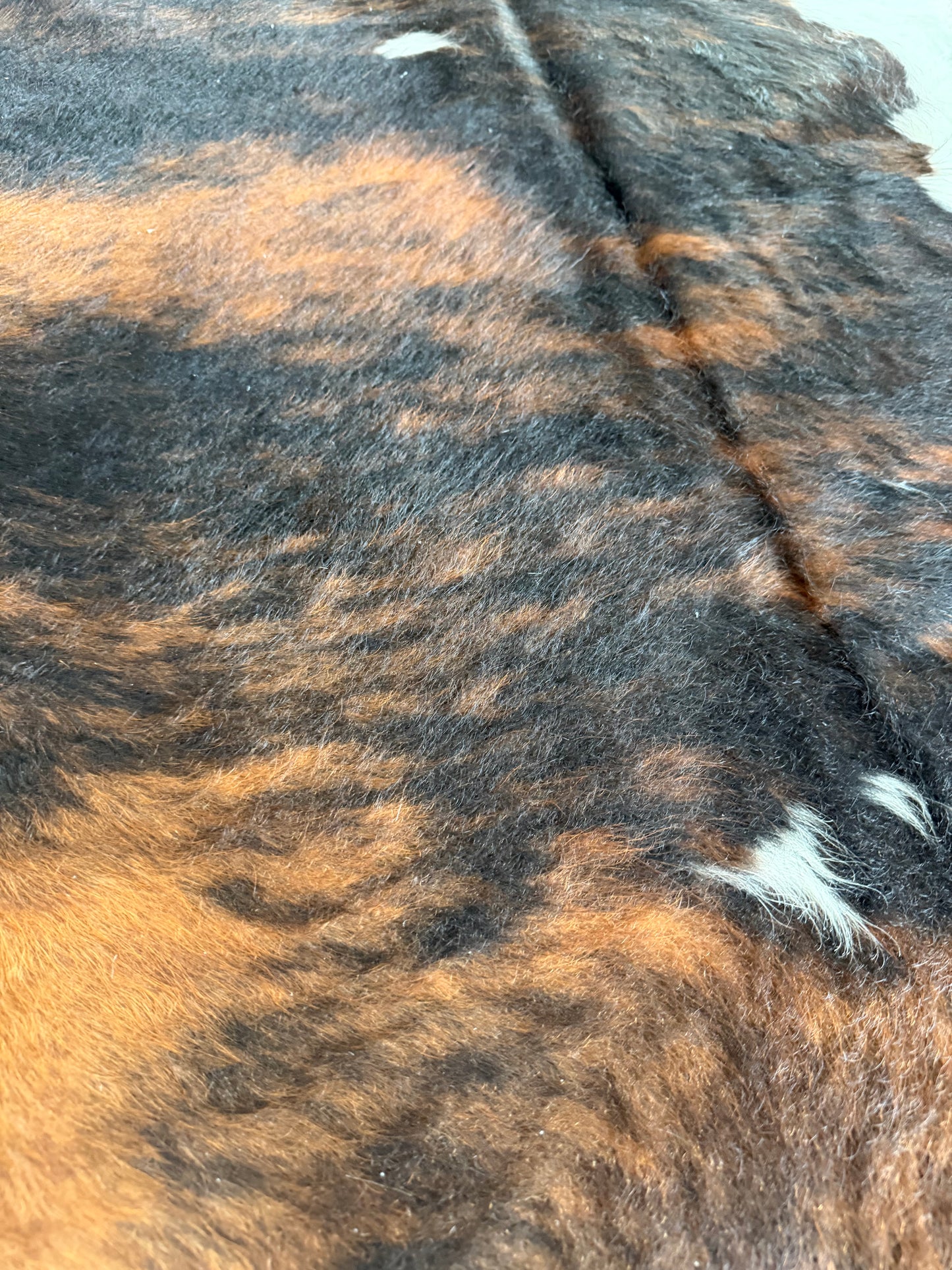 Hide #010 Tri-Brindle Cowhide Rental