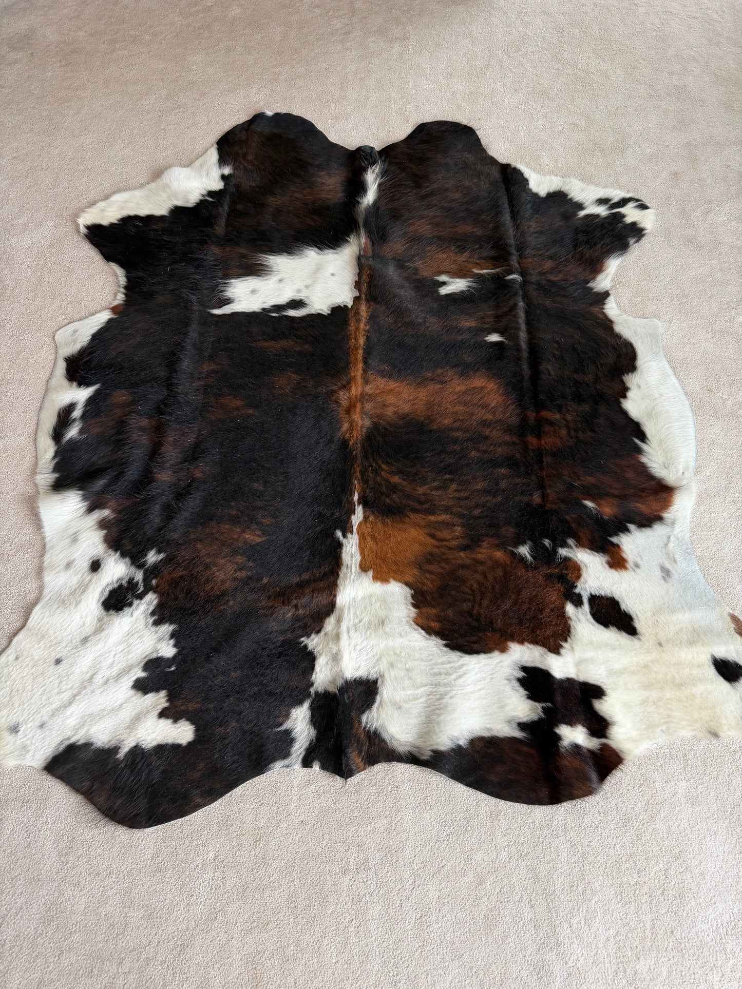 Hide #010 Tri-Brindle Cowhide Rental