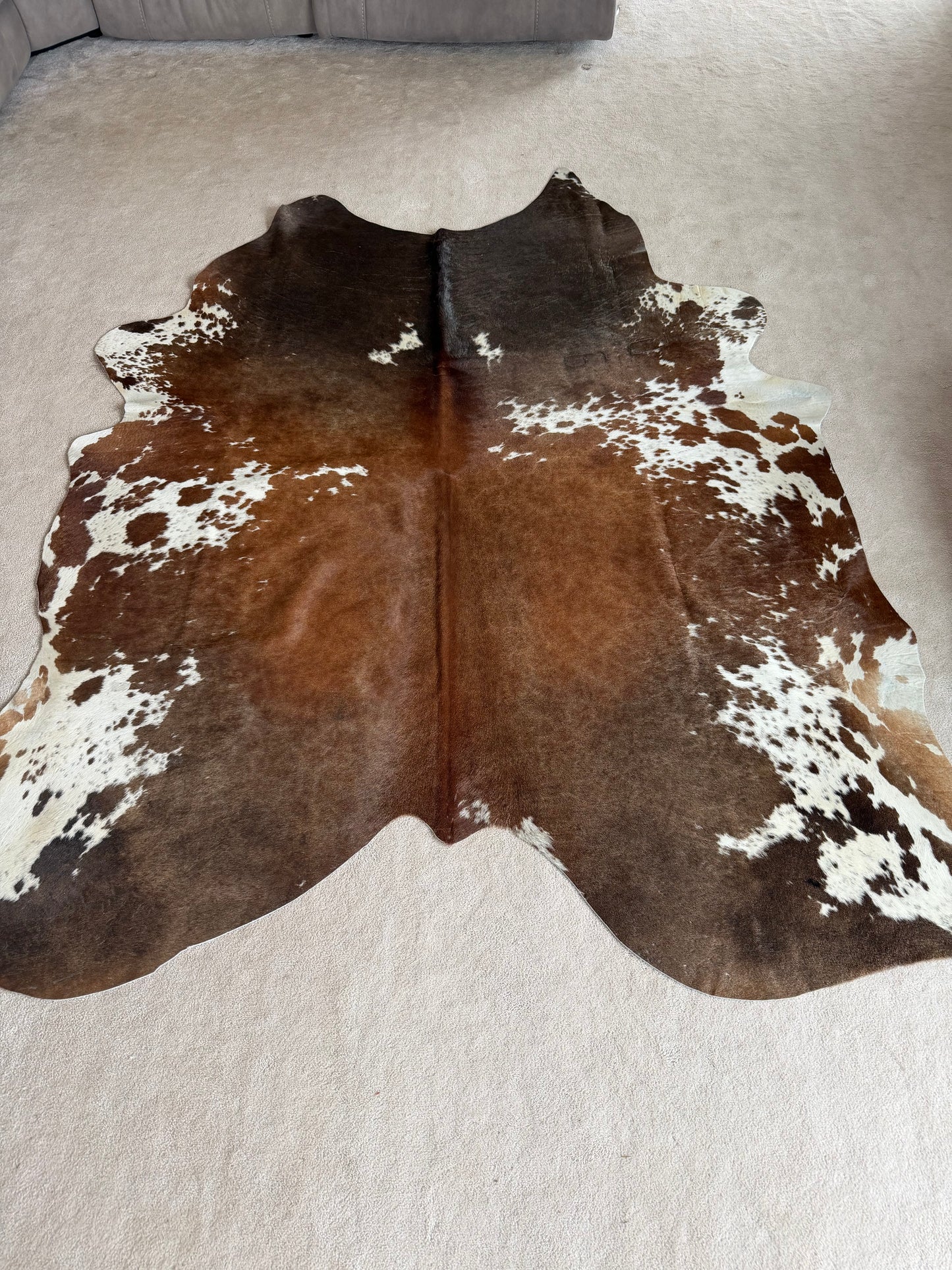 Hide #006 Brown Speckled Cowhide Rental