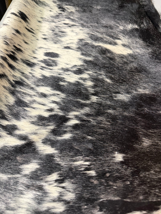 Hide #002 Blue Roan Cowhide Rental