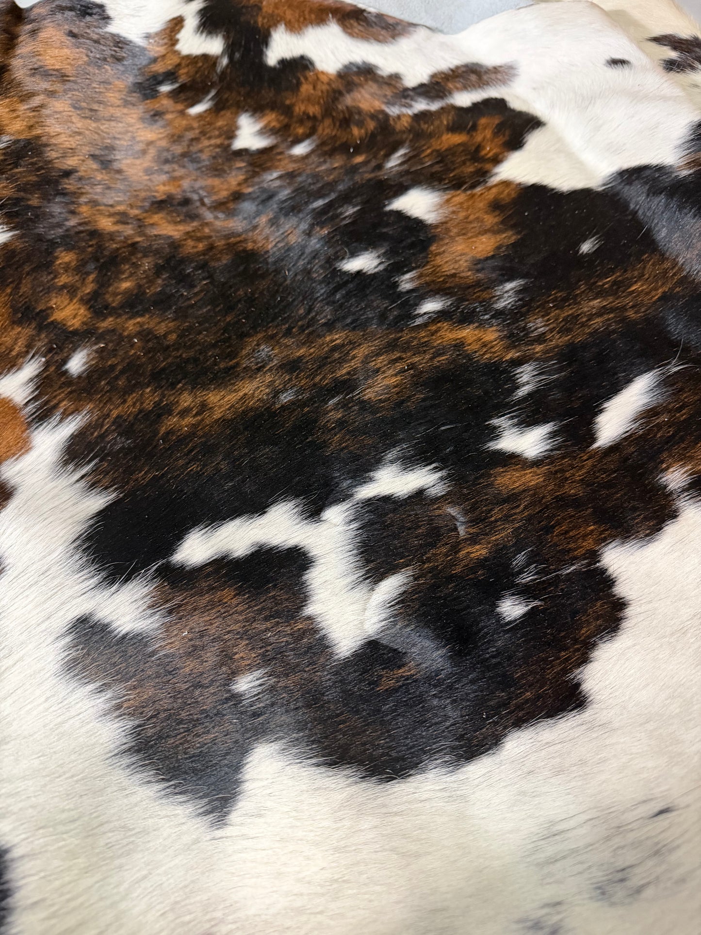 Hide #004 Tri-Brindle Cowhide Rental