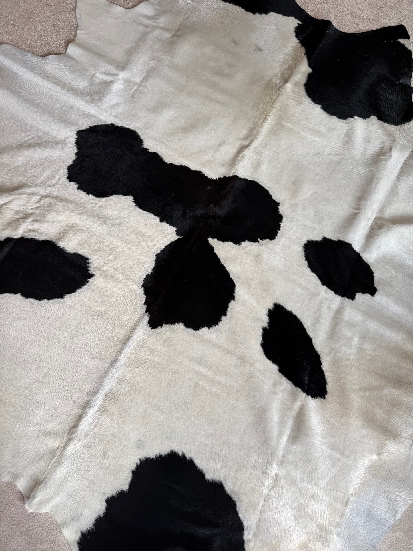 Hide #005 Black & White Cowhide Rental