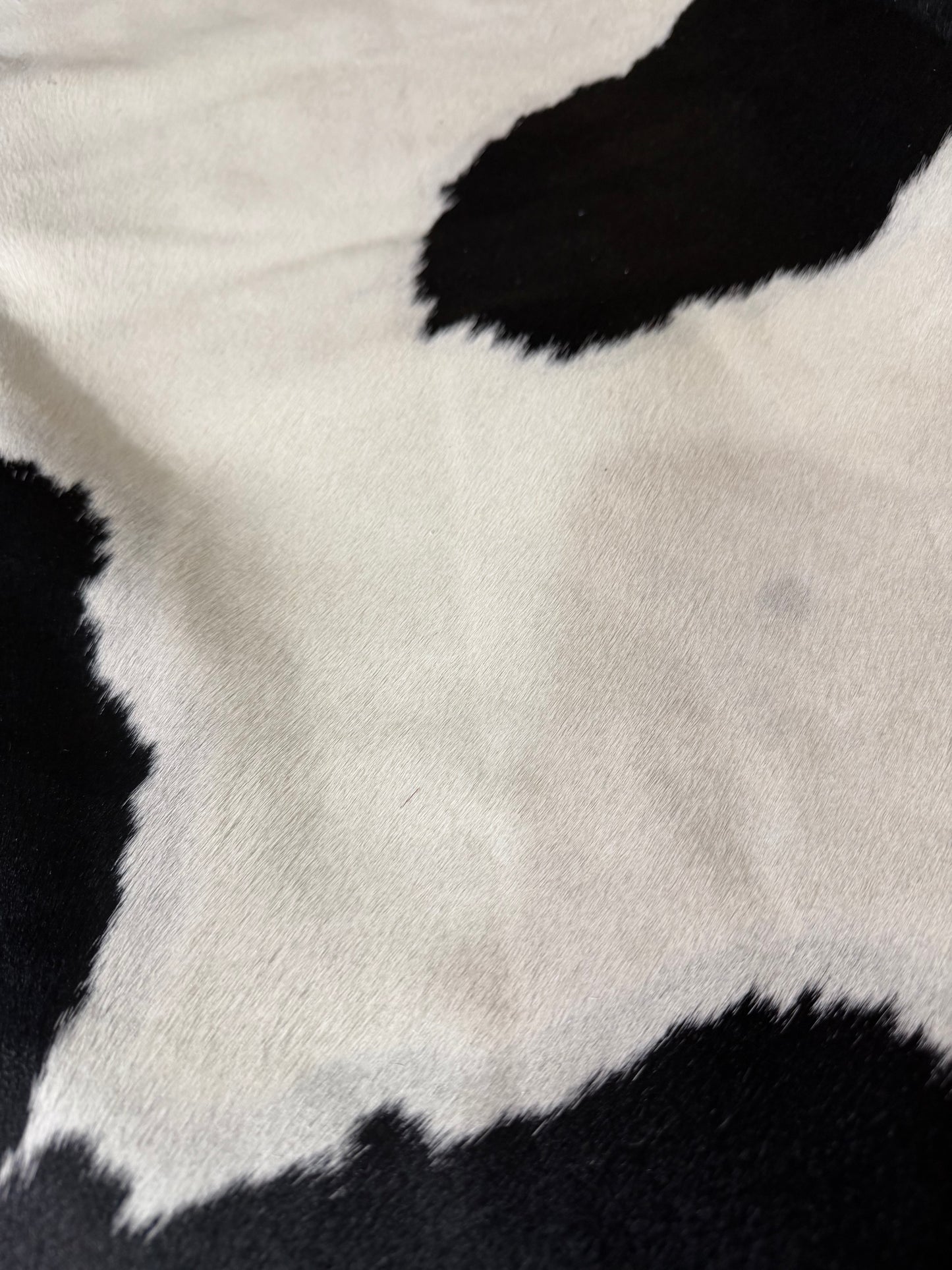 Hide #005 Black & White Cowhide Rental