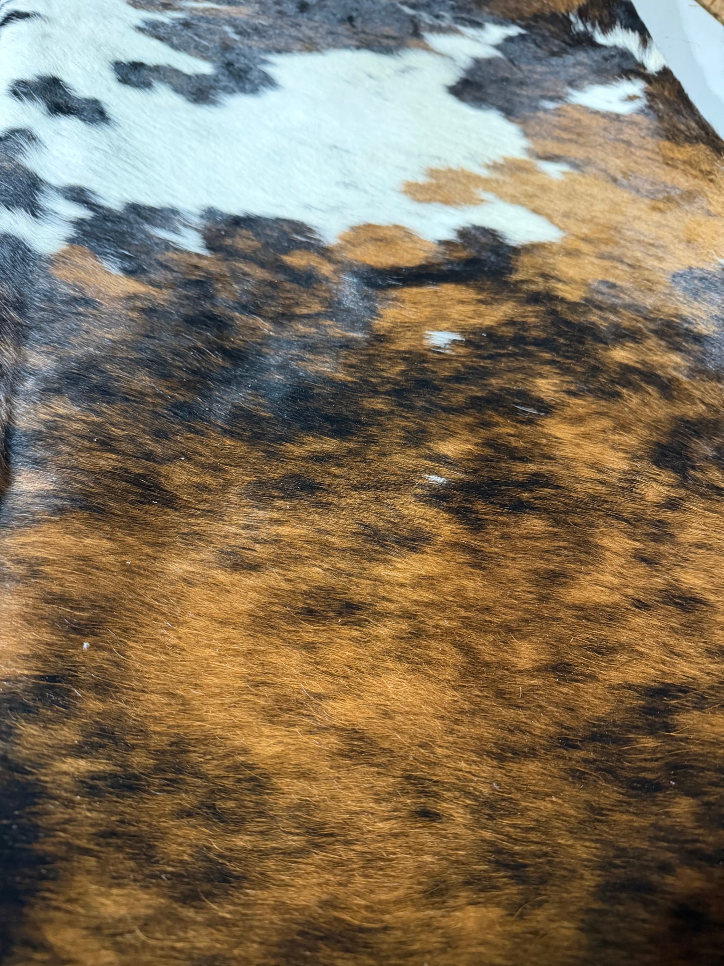 Hide #004 Tri-Brindle Cowhide Rental