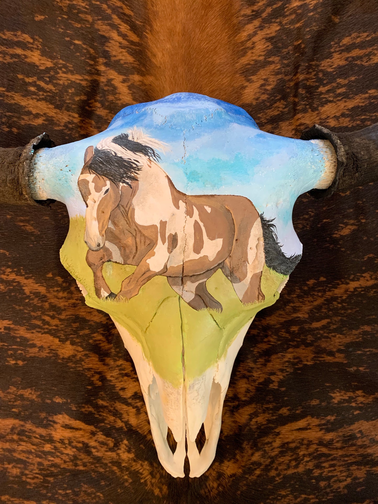 Custom Painted Buffalo Skull